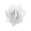 Róża chińska duża biała 12,5 cm